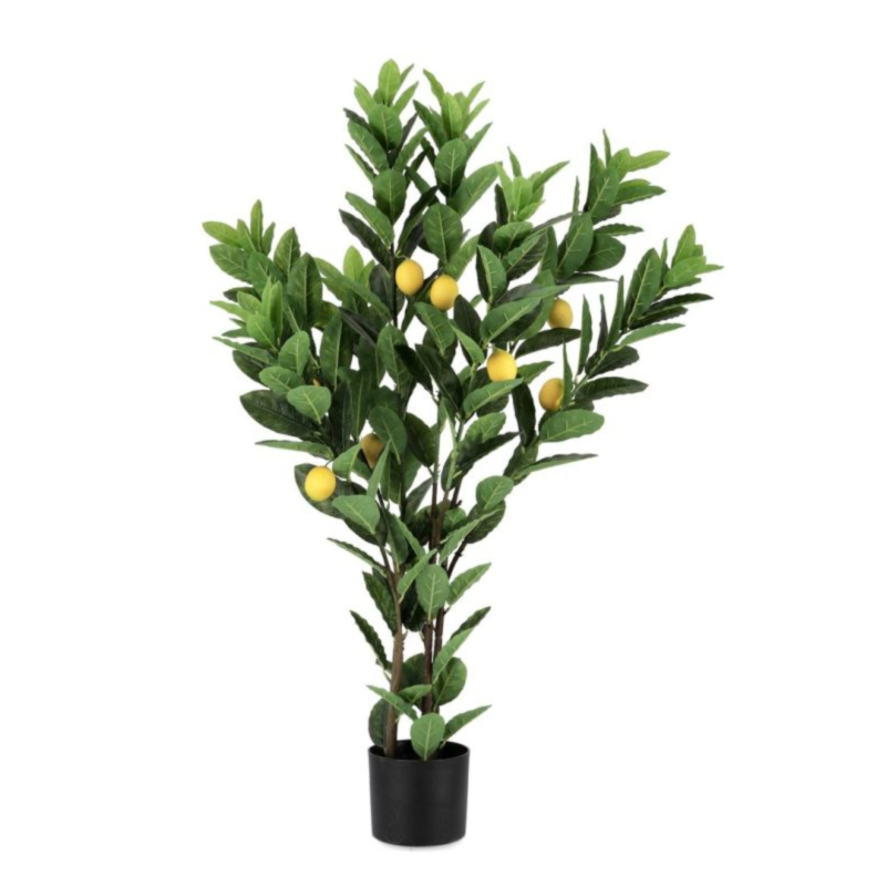 PIANTA LIMONE C-VASO 224FOGLIE H115