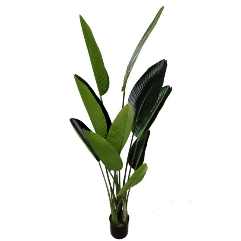 STERILIZIA PLANT W-VASE 10LEAVES H150