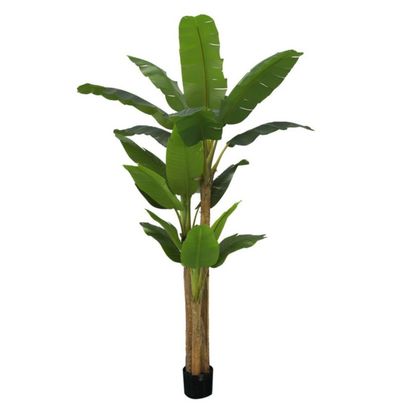 BANANA PLANT W-VASE 24 LEAVES H280