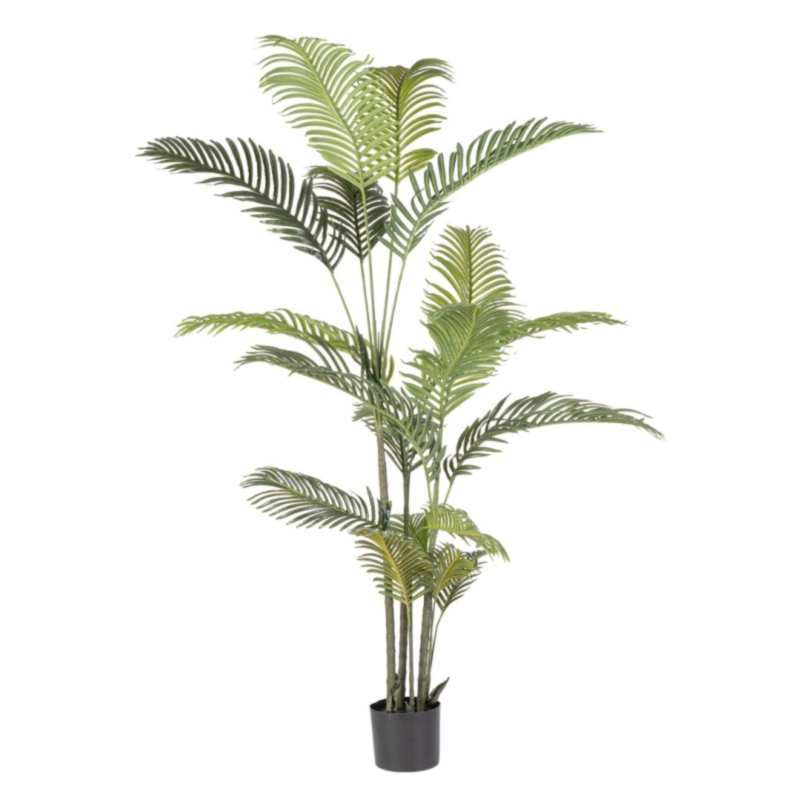 PLANTE KENZIA AC-VASE 18 FEUILLES H180