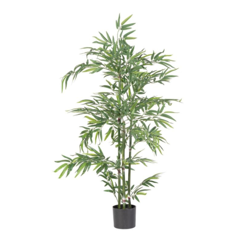 PIANTA BAMBOO C-VASO H130