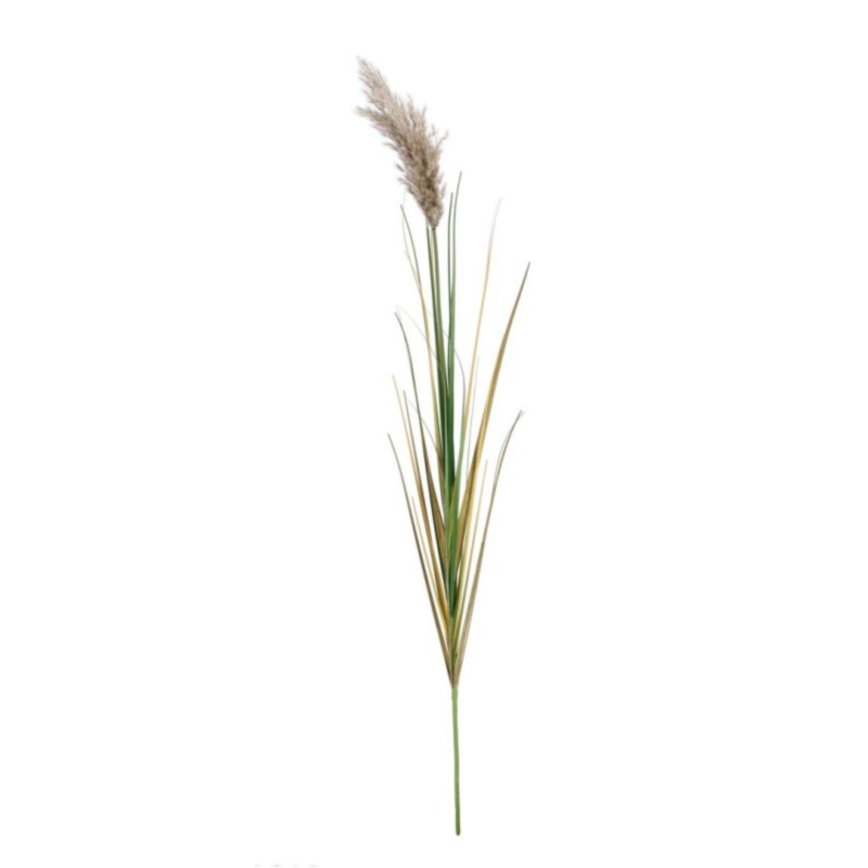 RAMO GYNERIUM PAMPAS H140
