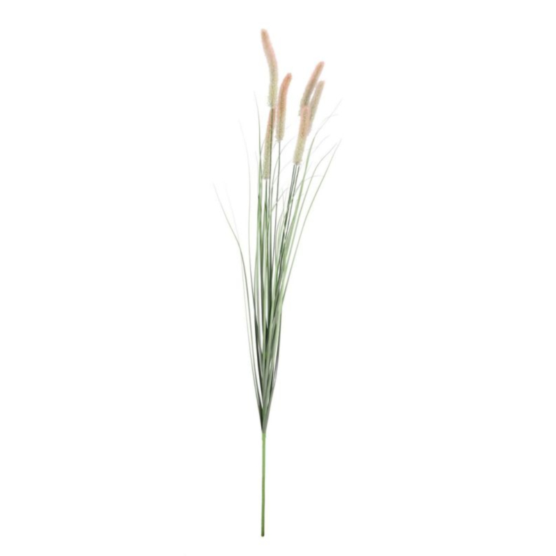 RAMO PENNISETUM H150