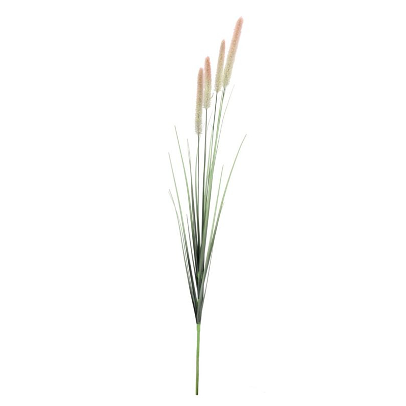 RAMO PENNISETUM H120