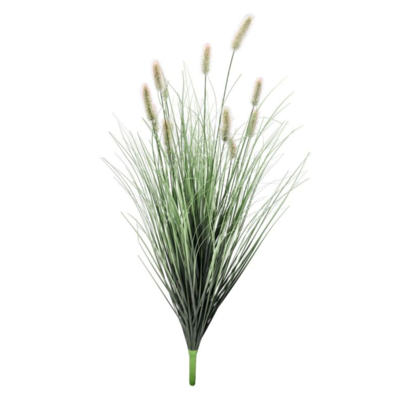 RAMO PENNISETUM H100