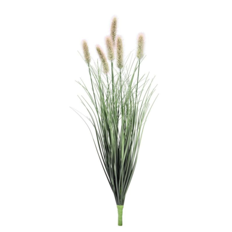 RAMO PENNISETUM H60