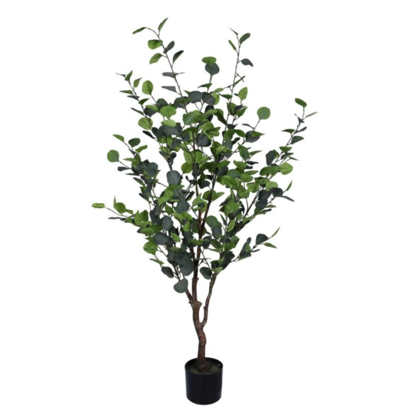 PIANTA EUCALIPTO C-VASO H150