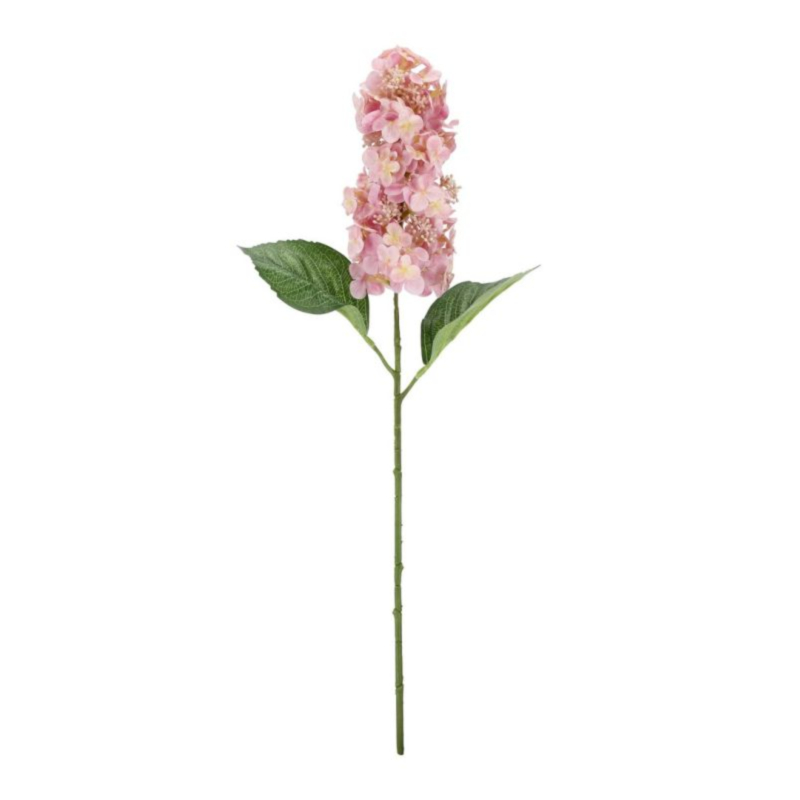 HORTENSIE HOLGA ROSA D22X64H
