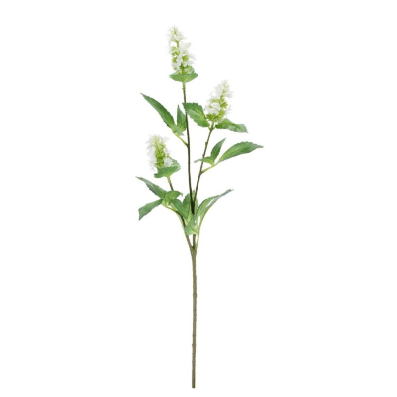 PATCHOULI YSIDOR X3F BIANCO H74H