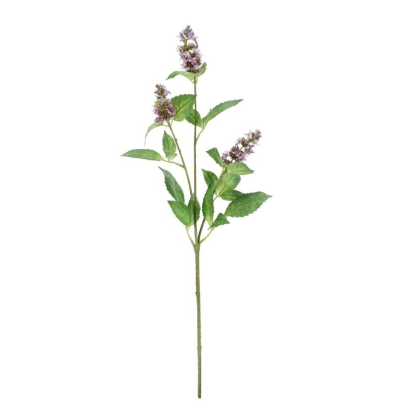 PATCHOULI YSIDOR X3F VIOLA H74H