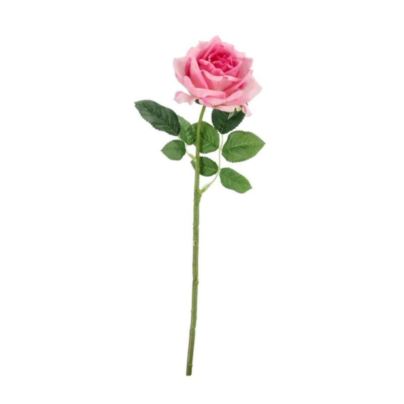 ROSEN OFELIA ROSA H43CM
