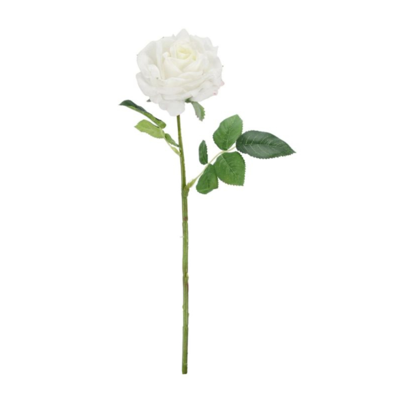 ROSA OFELIA BIANCO H43CM