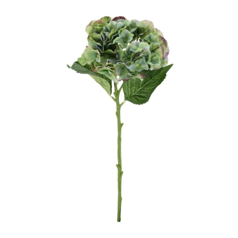 ORTENSIA SOFY VERDE D25X52H