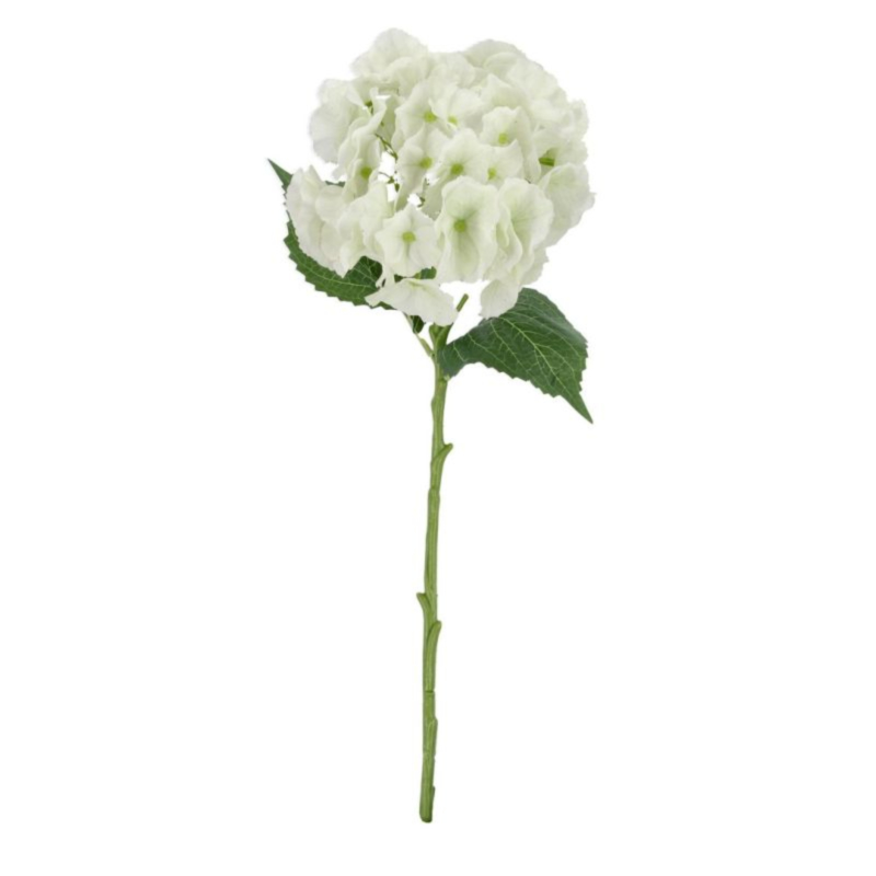 ORTENSIA SOFY BIANCO D25X52H