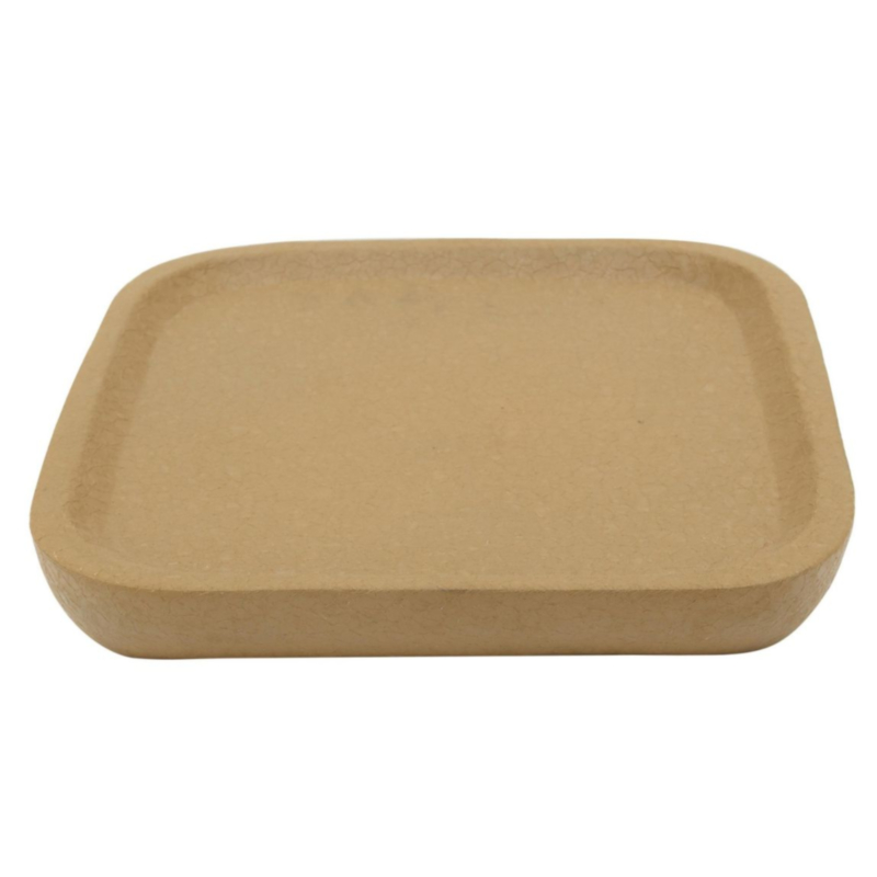ALLIGATOR SQUARE OCKER DECOR TRAY