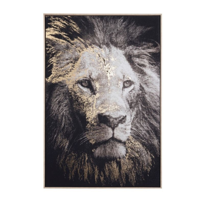 QUADRO C-C BOLD 906 82X122