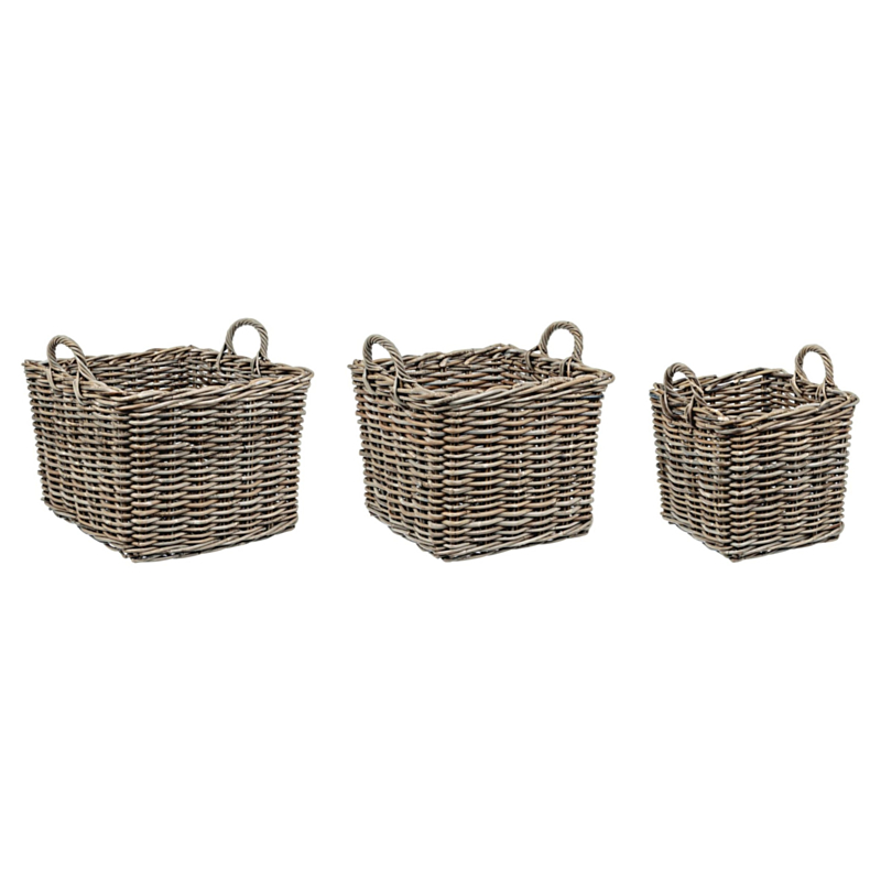 SET3 CESTO 2M NARRA QU