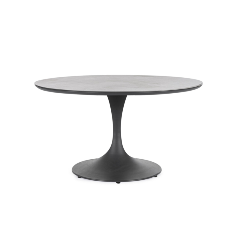 MESA ARNOLD D120 ANTR JX55