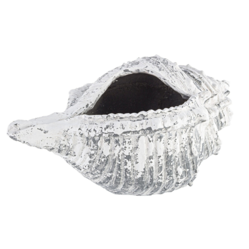 MACETERO CONCHA MAGNESIA 68X38