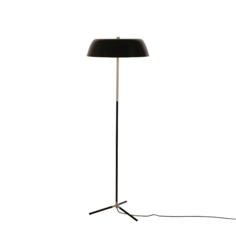 PIANTANA SIMOR NERO H140
