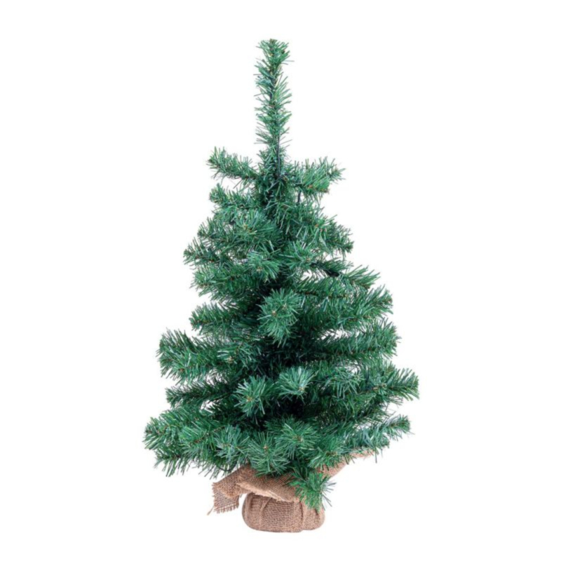 ALBERO INNSBRUCK H60