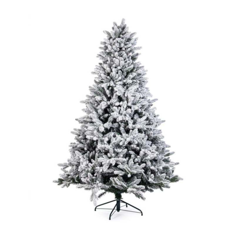 SAPIN FREJUS AC-NEIGE