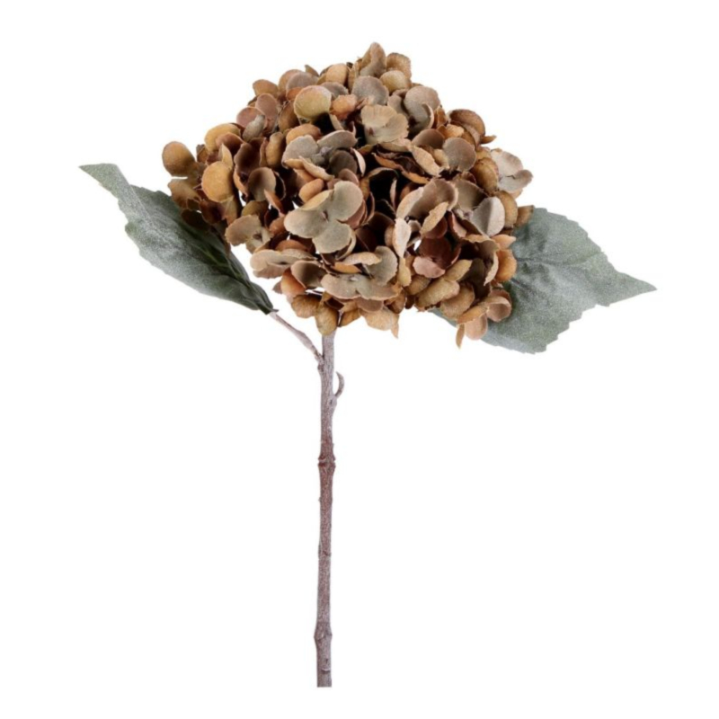 PICK ORTENSIA SISSY MARRONE H33