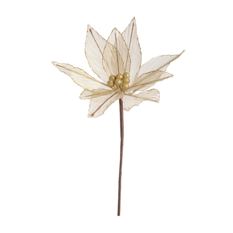 PICK POINSETTIA OLYMPIAS ORO 25X25