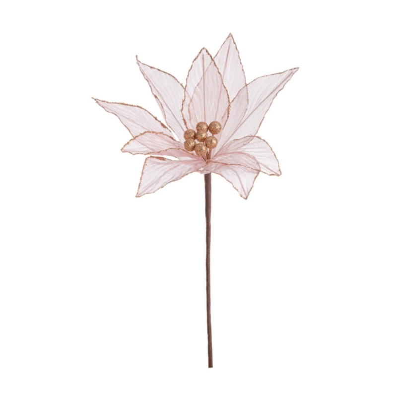 PICK POINSETTIA OLYMPIAS ORO ROSA 25X25