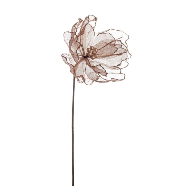 MAGNOLIA DAFNE MARRONE 25X50H