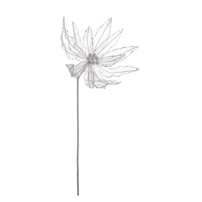 POINSETTIA DAFNE BIANCO 31X50H