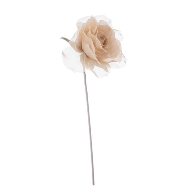 ROSA ALEISHA BEIGE H12