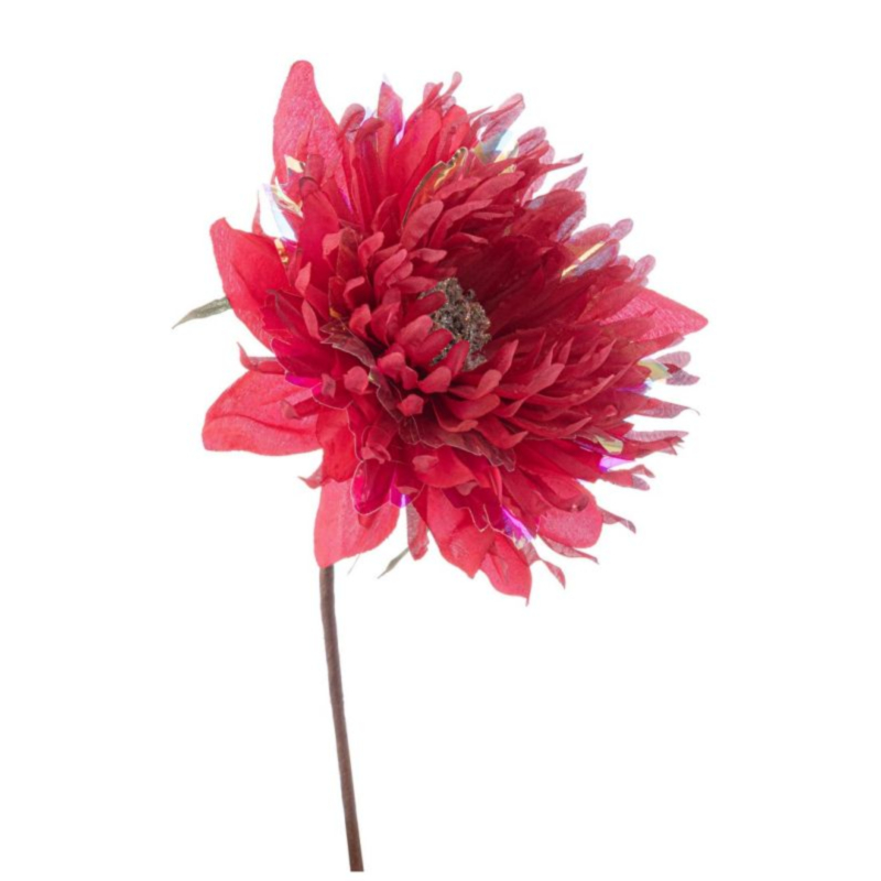 PICK DALIA JAYDE ROSSO IRIDESC H11